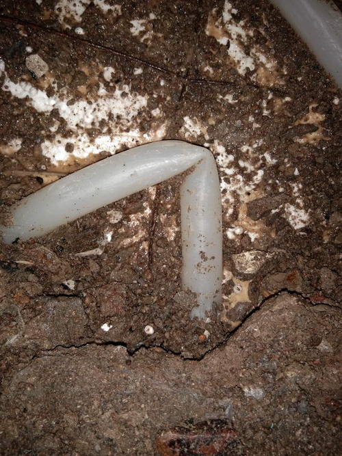 巧家堵点精准查找